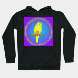 Orange Bellied Parrot Hoodie